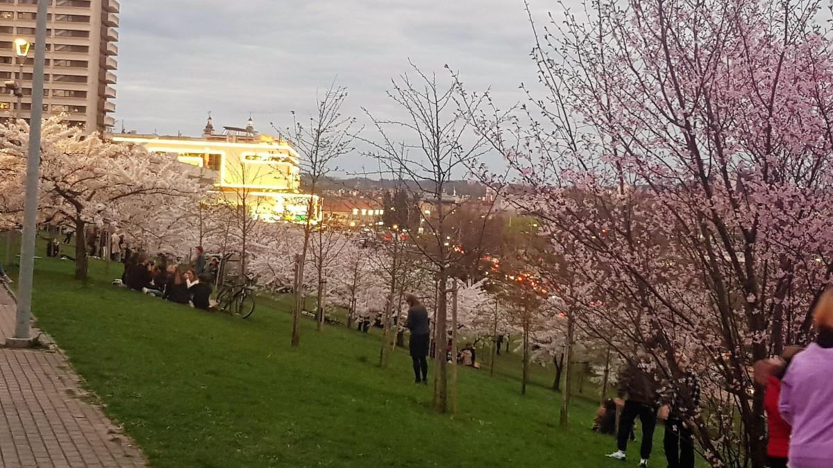 Kuriuose sostinės rajonuose – švariausias oras, o kur vilniečiai turėtų susirūpinti?