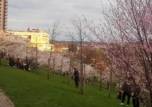 Kuriuose sostinės rajonuose – švariausias oras, o kur vilniečiai turėtų susirūpinti?