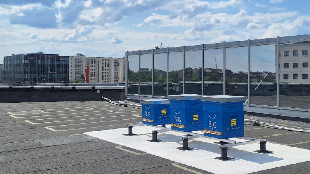 Nuo žaliosios energijos iki bičių ant stogo: kaip prekybos ir verslo centrai investuoja į tvarumą? 2