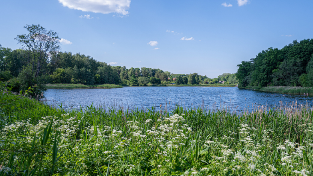 Išskirtinis NT projektas į Vilnių atnešė pajūrio dvasią 4