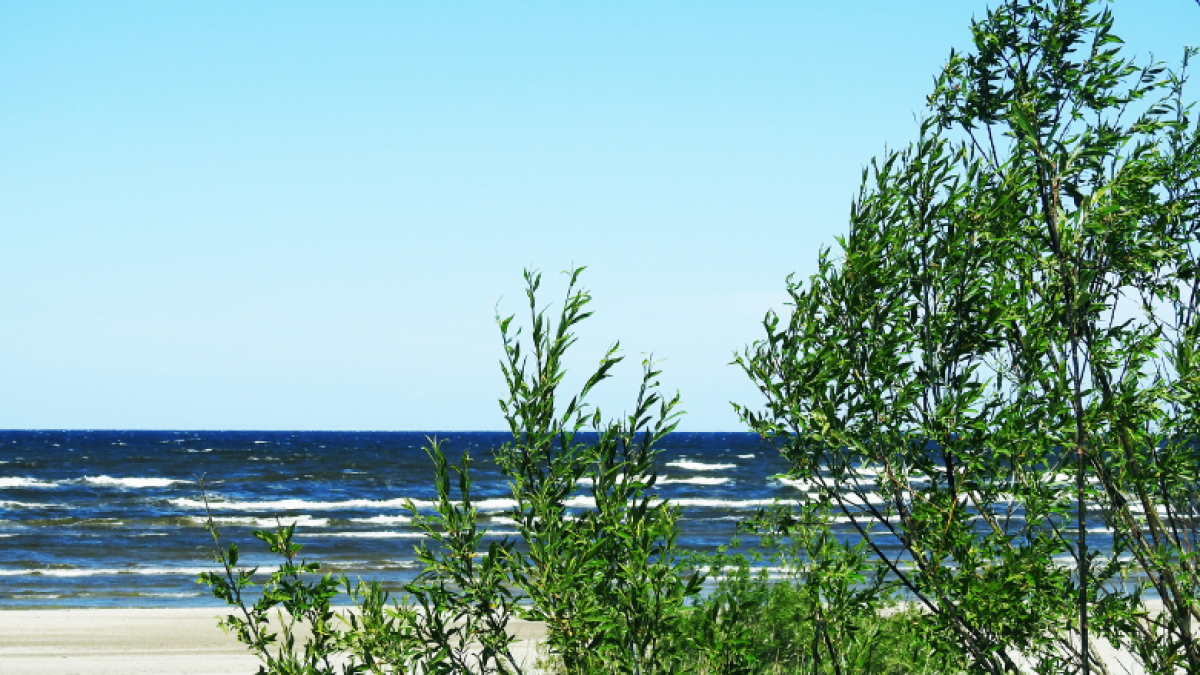 Tarp NT kurortuose pirkėjų populiariausia – Palanga 1