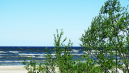 Tarp NT kurortuose pirkėjų populiariausia – Palanga 1