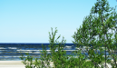 Tarp NT kurortuose pirkėjų populiariausia – Palanga 1