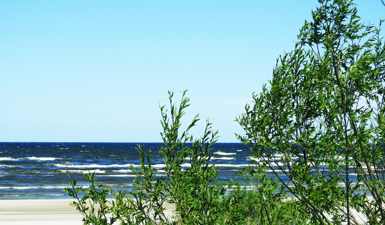 Tarp NT kurortuose pirkėjų populiariausia – Palanga 1