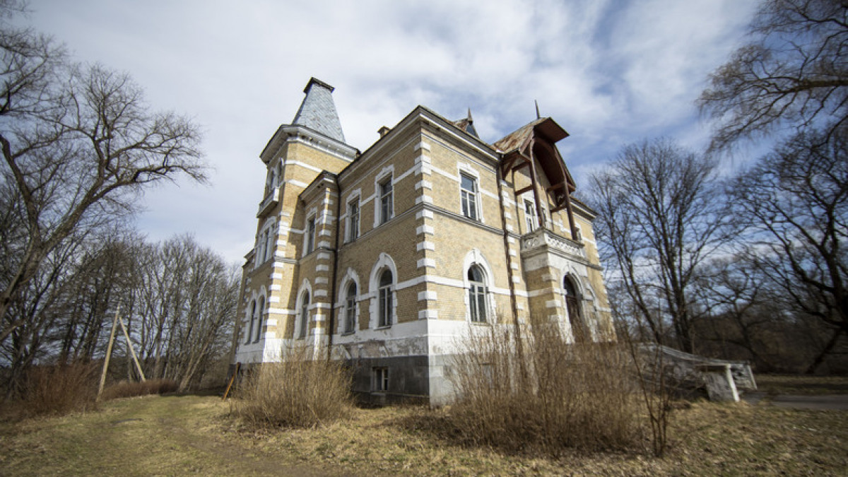 Aukcione parduodami Vyžulionių dvaro sodybos rūmai  2