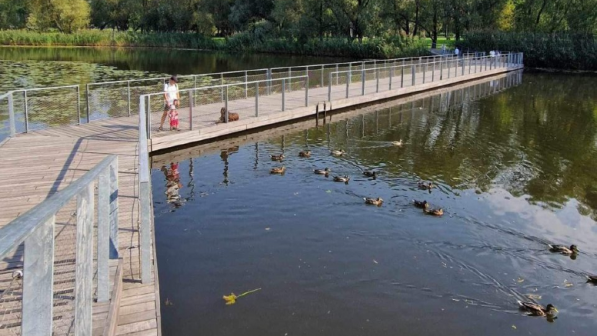 Sutvarkytas Malūno parkas – dar viena oazė klaipėdiečių poilsiui 3