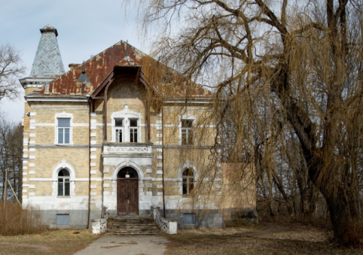 Istoriniai Vyžulionių dvaro sodybos rūmai parduoti už pusę milijono eurų
