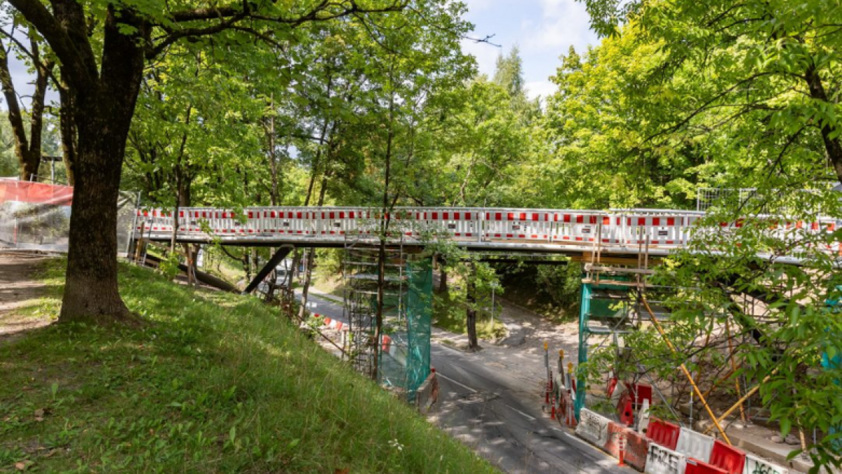 Tauro kalno teritorijoje tvarkomi želdiniai 2