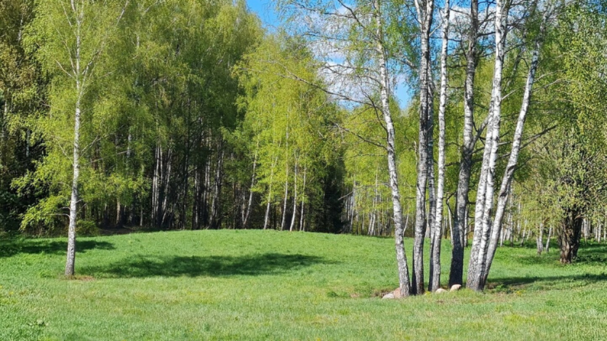 Kitokia NT įdarbinimo galimybė: senjorų namai ir bendruomenės gyvenvietė 4