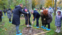 Šiauliuose baigtas sodinti sakurų sodas: 101 medelis įprasmino humanizmo idėjas 3