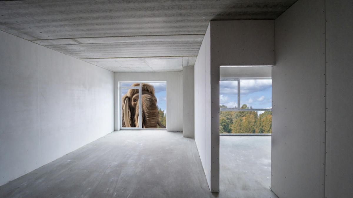 Vilniaus mamuto istorija: kaip šiandien atrodytų Antakalnis, jei mamutai nebūtų išnykę? 2