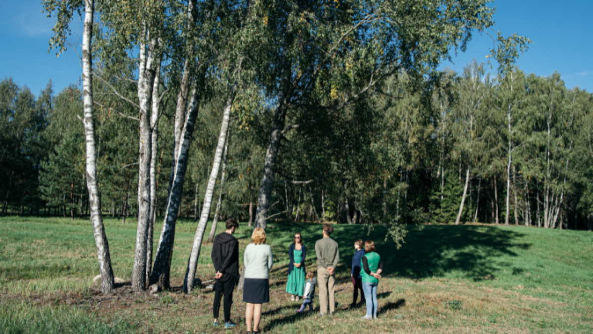 Miško sanatorijos kūrimas ir gamtos terapijos - veiklos šalia nekilnojamojo turto ir investicinių veiklų 6