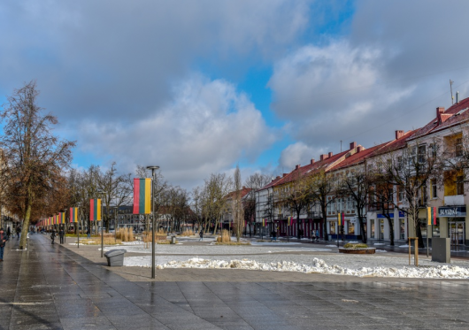 Panevėžys stiprina naujiems gyventojams patrauklaus bei draugiško miesto pozicijas