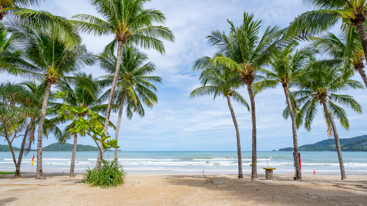 Puketas: saulės ir egzotikos kupina investicijų oazė 1