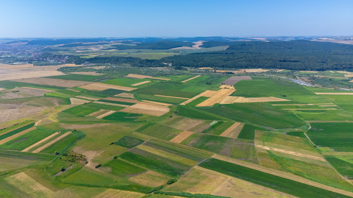 Galutinai patvirtinta: šiemet daugiamečių pievų atkurti nereikės 1