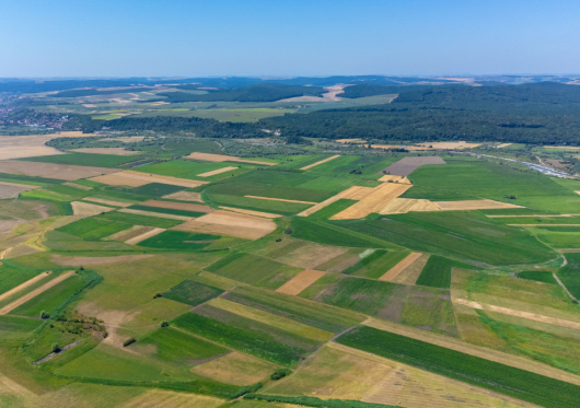 Galutinai patvirtinta: šiemet daugiamečių pievų atkurti nereikės