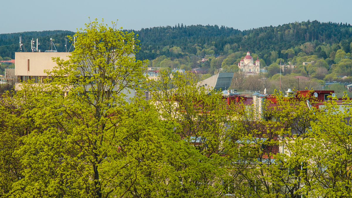 Žalios Vilniaus gatvės – su kokiais iššūkiais susiduria miesto apželdintojai 1