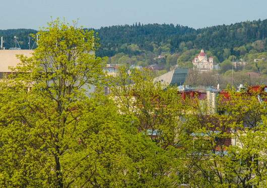 Žalios Vilniaus gatvės – su kokiais iššūkiais susiduria miesto apželdintojai