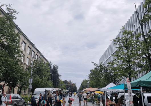 Naujamiestis - margiausias sostinės rajonas