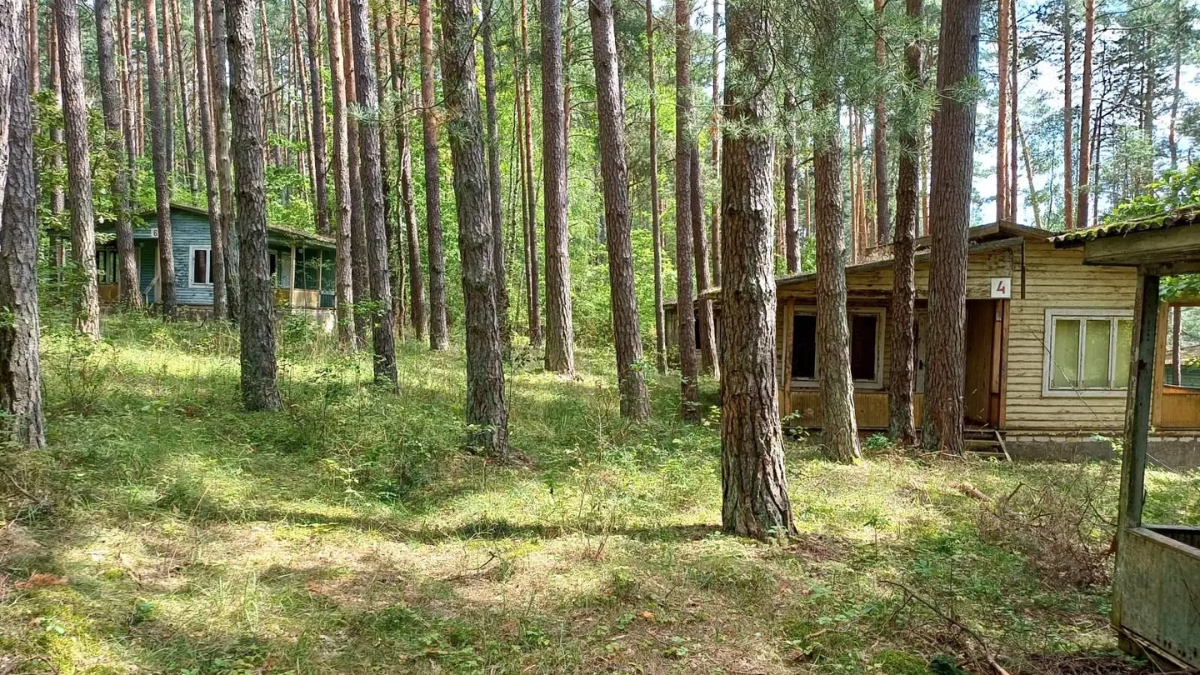 Išskirtinis aukcionas: parduodamas poilsio paskirties NT kompleksas Molėtų rajone 1