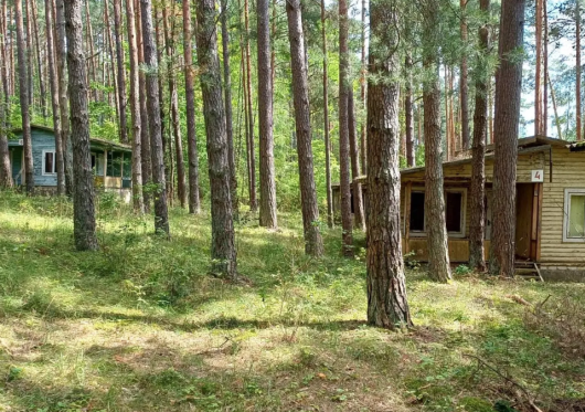 Išskirtinis aukcionas: parduodamas poilsio paskirties NT kompleksas Molėtų rajone