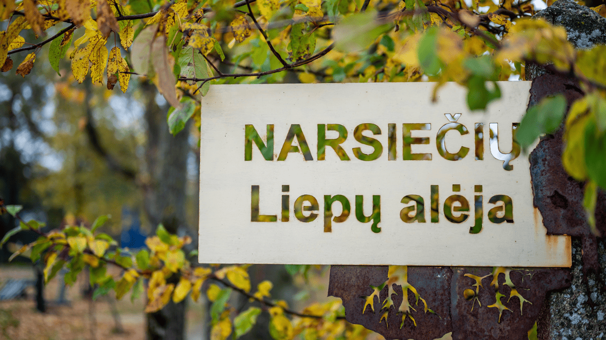 Liepų alėja Aleksote taps išskirtiniu gamtos ir rekreacijos kampeliu: nuo vandens kanalo iki aktyvaus laisvalaikio erdvių 4