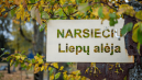 Liepų alėja Aleksote taps išskirtiniu gamtos ir rekreacijos kampeliu: nuo vandens kanalo iki aktyvaus laisvalaikio erdvių 4