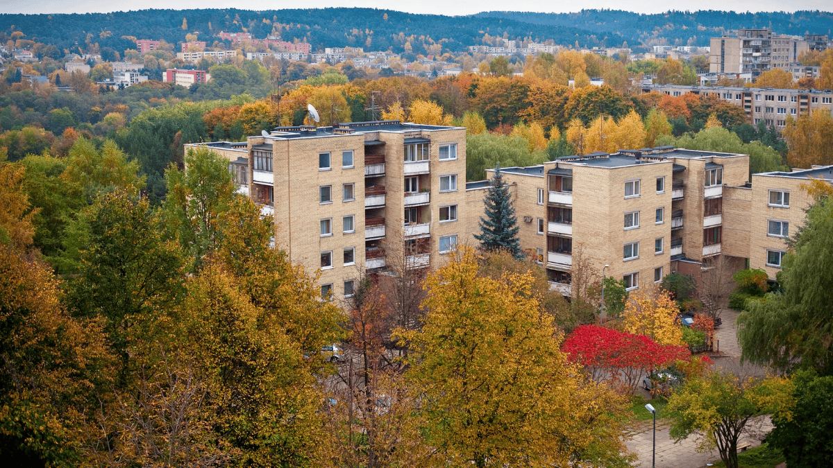 Vilnius plečia saugotinų medžių sąrašą, aktualu ir privačių sklypų savininkams