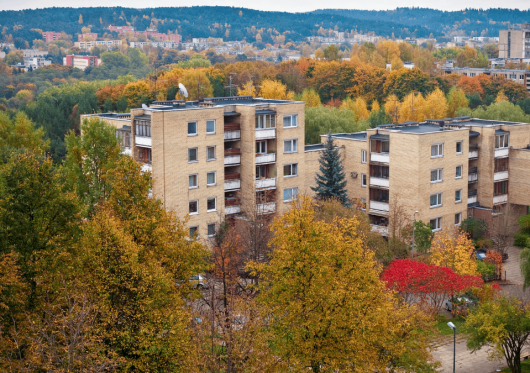 Vilnius plečia saugotinų medžių sąrašą, aktualu ir privačių sklypų savininkams