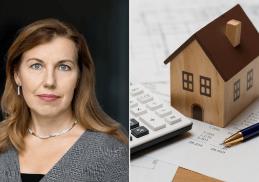 Kas pasikeitė sodo namų statyboje? Advokatė – paprastai ir aiškiai apie įstatymo pakeitimus