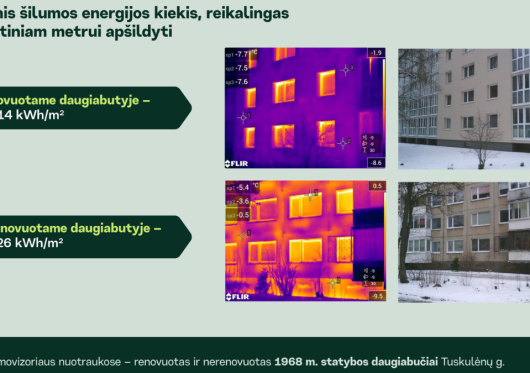 Vilniečiai oro šildymui išleido 23,6 mln. eurų: kurie pastatai „kiauriausi“?