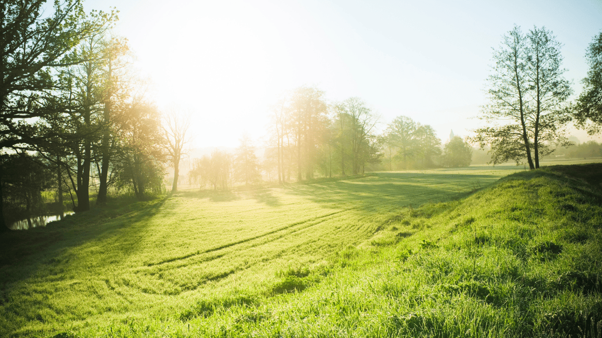 Svarbi informacija žemės savininkams: ar jūsų sklypas patenka į „Natura 2000“? 1