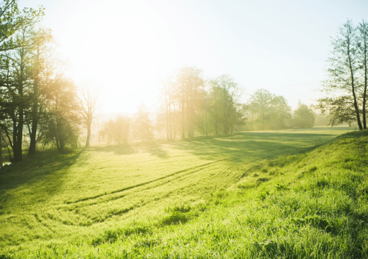 Svarbi informacija žemės savininkams: ar jūsų sklypas patenka į „Natura 2000“?