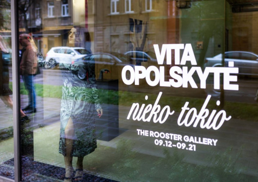 Kultūra Naujamiesčio širdyje: „Algirdo 3“ atidaryta V. Opolskytės paroda „nieko tokio“