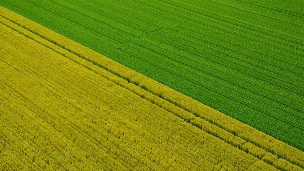 Valstybinės žemės nuomos teisė yra paveldima: ką svarbu žinoti?