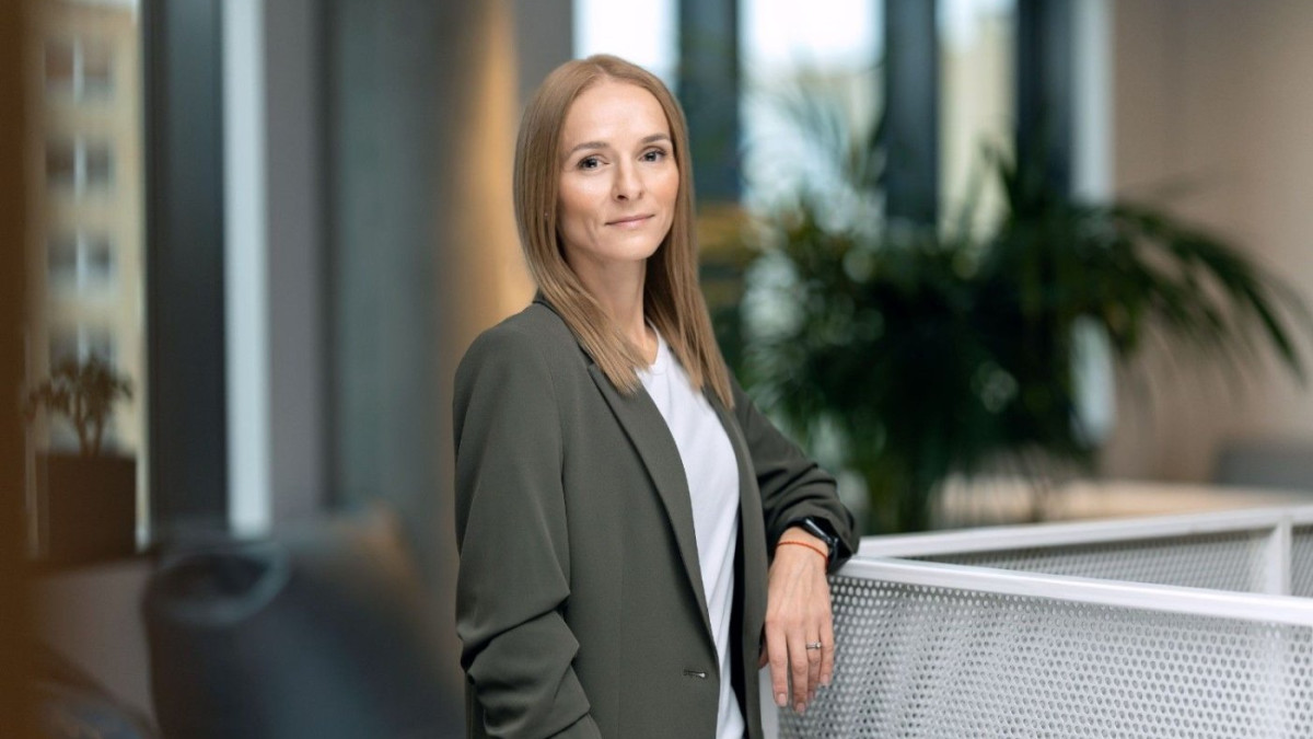 Liūtys: medinė terasa tampa čiuožykla 1