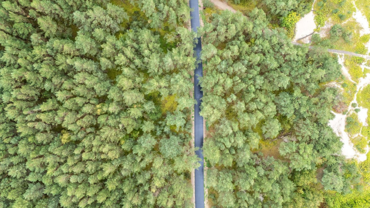 Lietuvoje nusidrieks beveik 174 km naujų dviračių takų 1