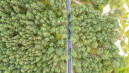 Lietuvoje nusidrieks beveik 174 km naujų dviračių takų 1