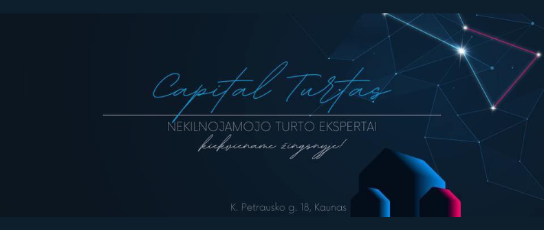 Capital Turtas