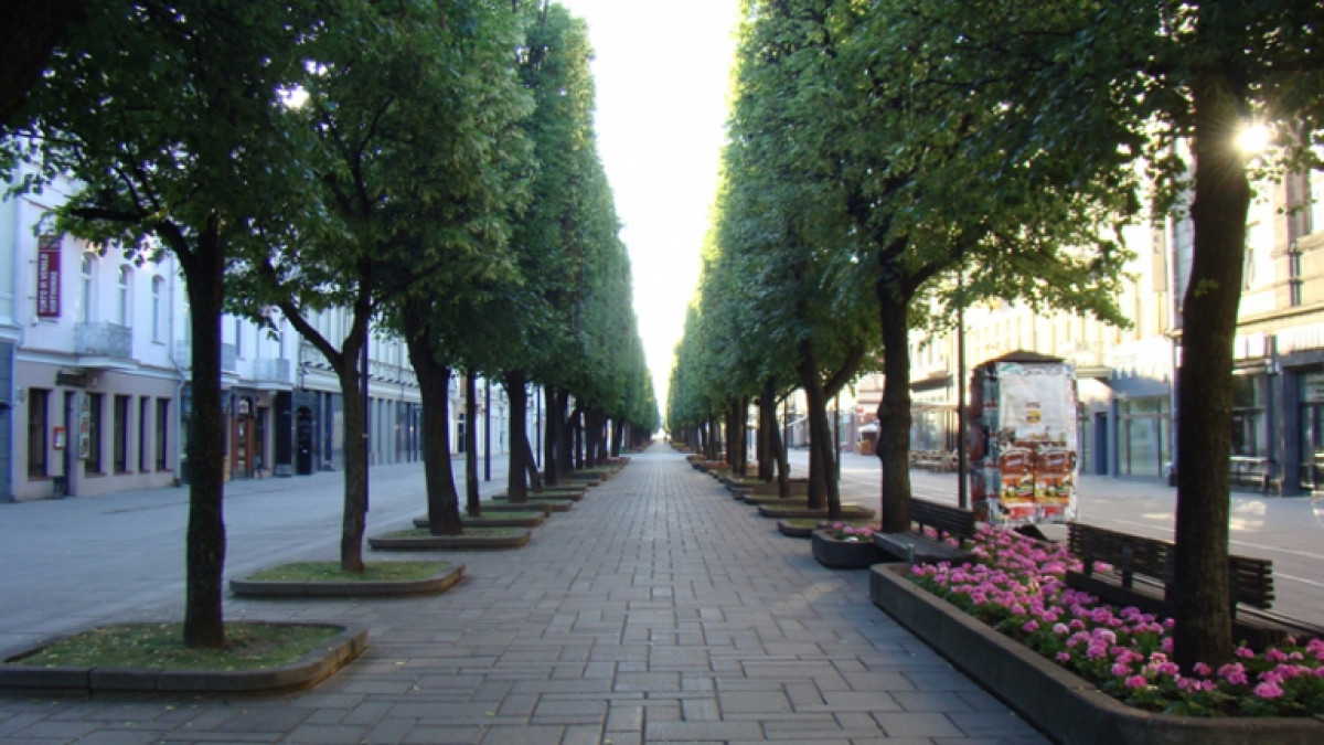 Kaunas ruošiasi antrajam Laisvės alėjos rekonstrukcijos etapui 1