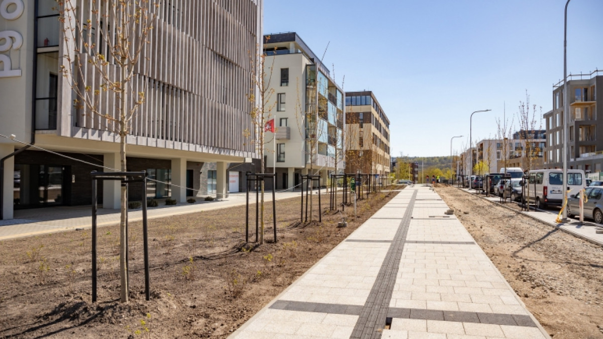 2021 m. Vilniuje: naujos mokyklos, sutvarkytos teritorijos, atverti parkai 1
