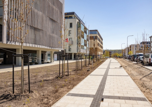 2021 m. Vilniuje: naujos mokyklos, sutvarkytos teritorijos, atverti parkai