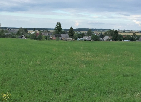 Parduodamas  sklypas Pievų g., Čičinų k., Jonavos r. sav., 84 a ploto