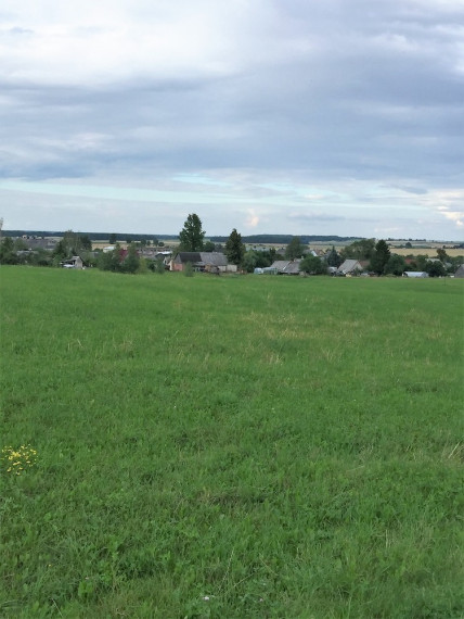 Parduodamas sklypas Pievų g., Čičinų k., Jonavos r. sav., 84 a ploto 1