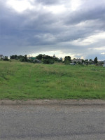 Parduodamas  sklypas Pievų g., Čičinų k., Jonavos r. sav., 84 a ploto 3