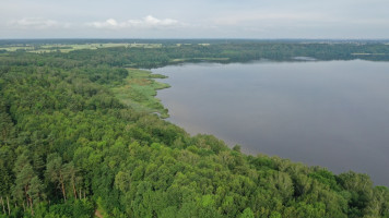 Parduodamas  sklypas Pamario 4-oji g., Gervėnupio k., Kauno r. sav., 39.85 a ploto 7