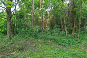 Parduodamas  sklypas Pamario 4-oji g., Gervėnupio k., Kauno r. sav., 39.85 a ploto 8