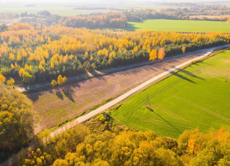 Parduodamas  sklypas Pasmilgio k., Kėdainių r. sav., 50 a ploto