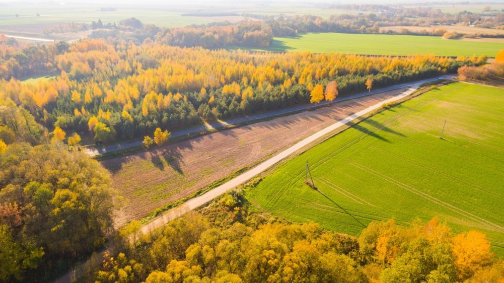 Parduodamas  sklypas Pasmilgio k., Kėdainių r. sav., 50 a ploto 1