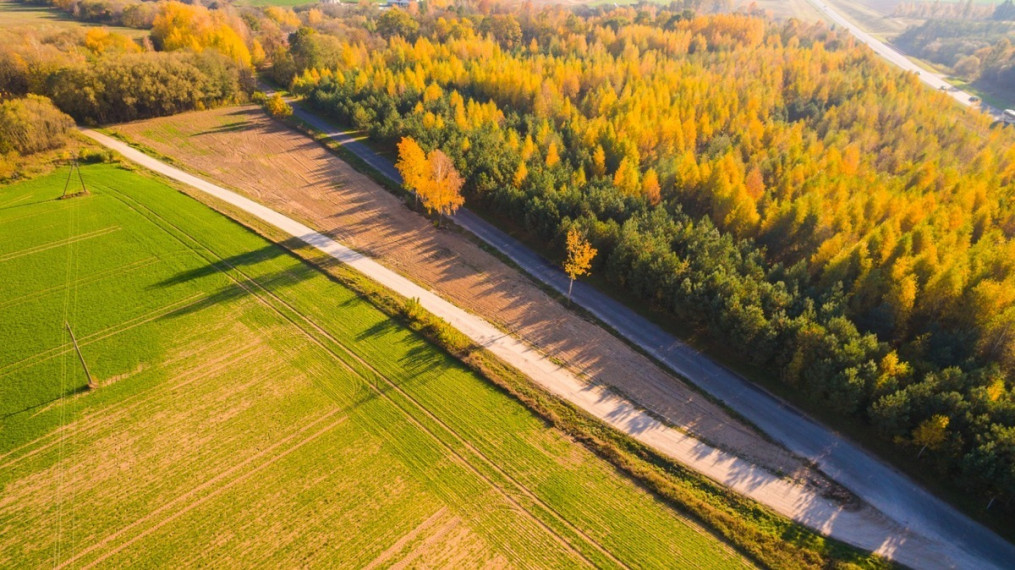 Parduodamas  sklypas Pasmilgio k., Kėdainių r. sav., 50 a ploto 3